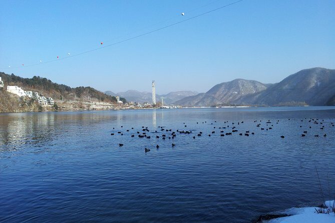 [Perfect Private Tour] Strawberry Farm & Nami Island & Lunch - Final Thoughts