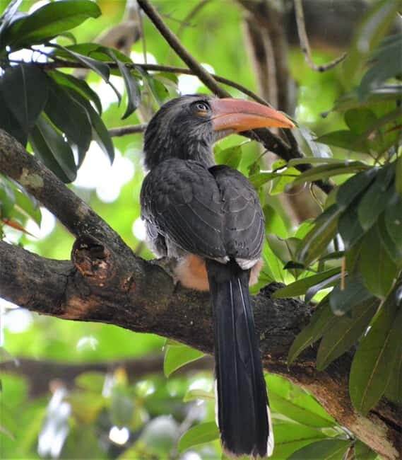 Periyar 02- Days Tour with Nature Walk and Elephant Bath - Key Points