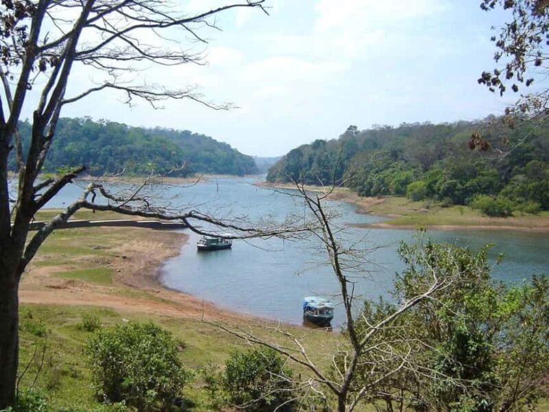 Periyar Wildlife Sanctuary Tour (02 Nights / 03 Days) - Key Points