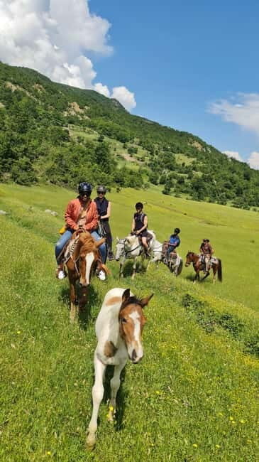 Përmet: Amazing Horse Riding Experience at Vjosa NP - Final Thoughts: Who Will Love This?