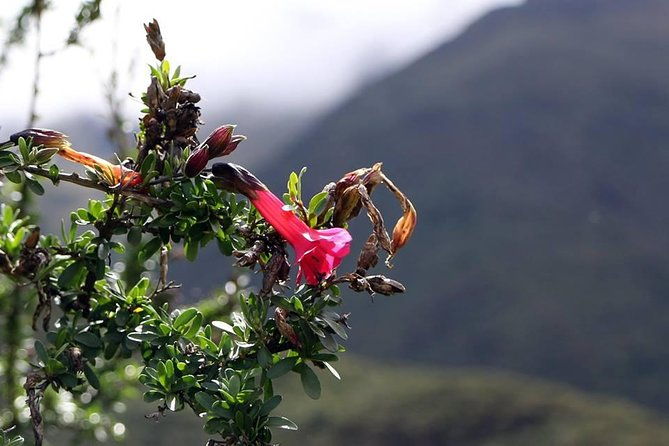 perolniyoc-waterfall-trek-1-day-huaynas-expeditions