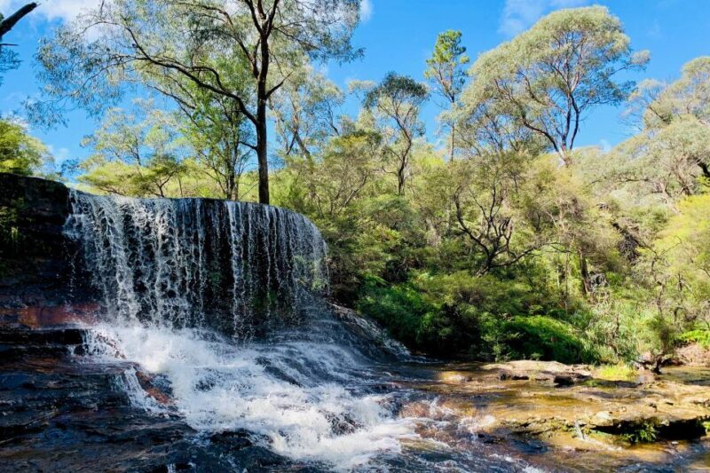 Personalised Blue Mountains Tour: Luxury Vehicles & Insights - FAQ