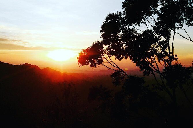 Personalised Ella & Sri Lanka Tours - An In-Depth Look at the Ella Private Tour