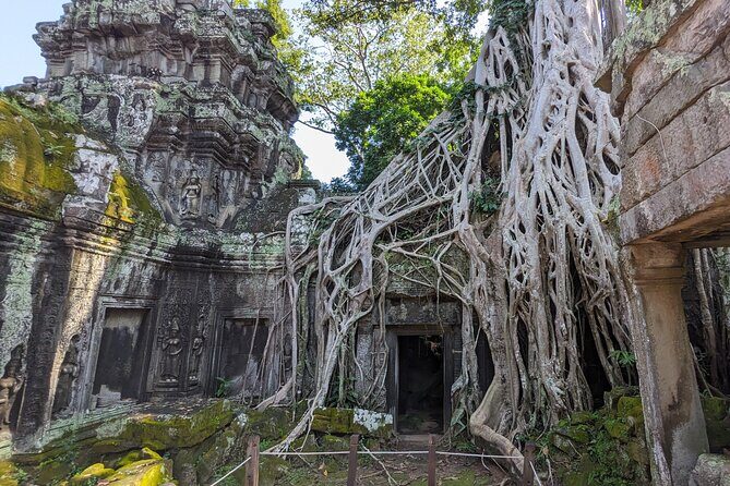 Personalized Angkor Wat Sunrise Day Tour by Tuk Tuk - An In-Depth Look at the Tour Experience