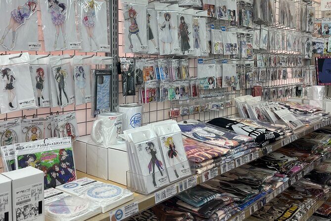 Personalized Anime Tour in Osaka - Why This Tour Works