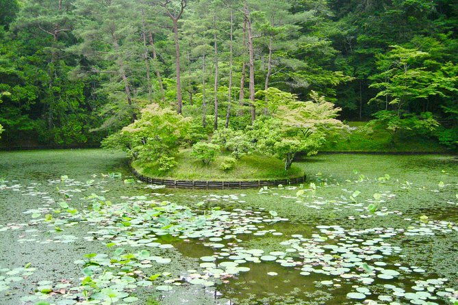 personalized-half-day-tour-in-kyoto-for-your-family-and-friends