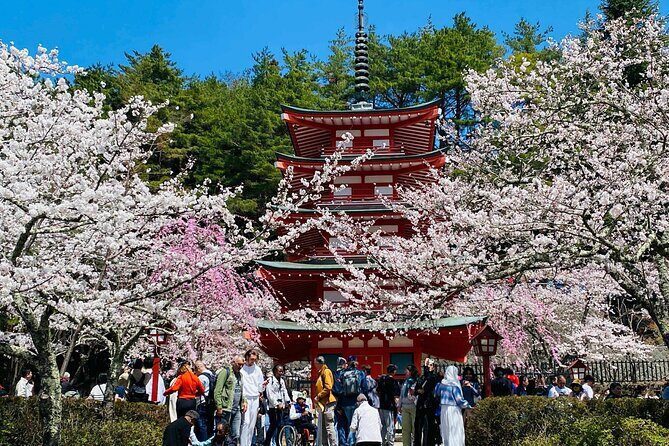 Personalized Mount Fuji Experience Customizable Full Day Trip - Final Thoughts: Is It Right for You?