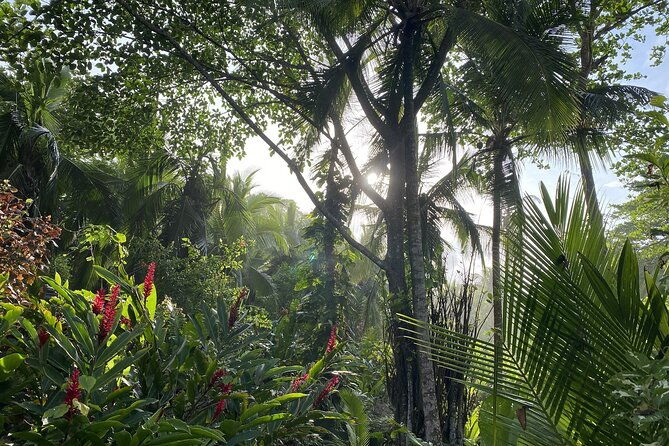 personalized-private-tour-experience-costa-rica