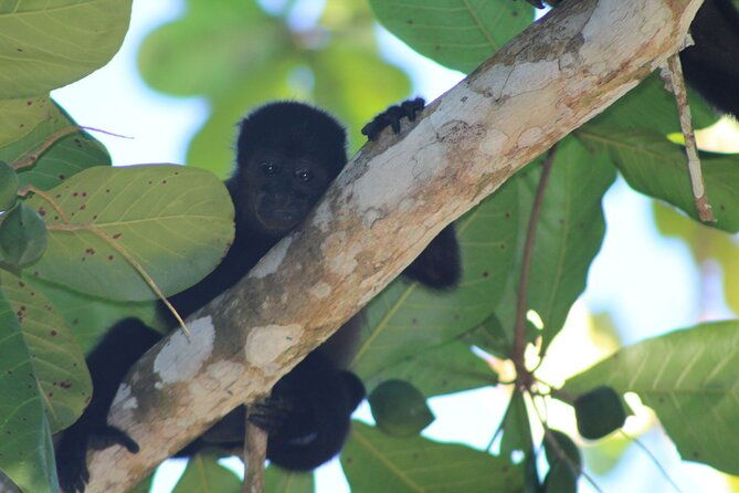 personalized-private-tour-experience-costa-rica