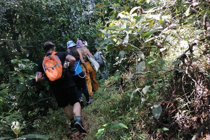 personalized-private-tour-experience-costa-rica