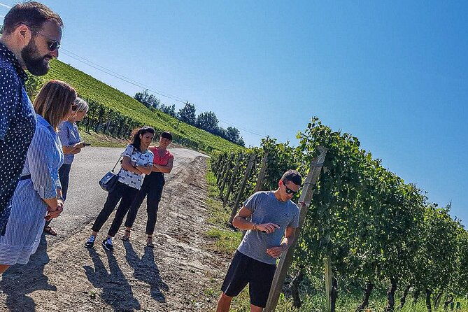 personalized-wine-and-food-experiences-in-alba