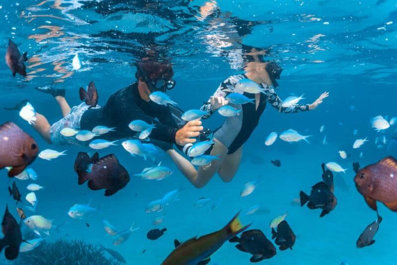 Perth: 7 Day Exmouth Explorer & Ningaloo Reef Return Perth - Is It Worth the Price?