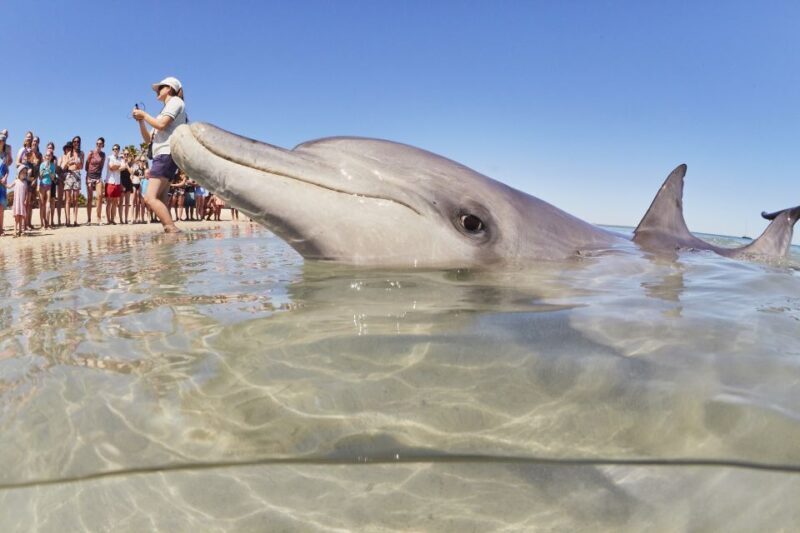 Perth: 7 Day Exmouth Explorer & Ningaloo Reef Return Perth - Who Is This Tour Best For?