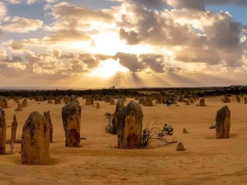 Perth: 7-Day Rottnest Island Tour Package with Accommodation - Day 1: Arrival in Perth