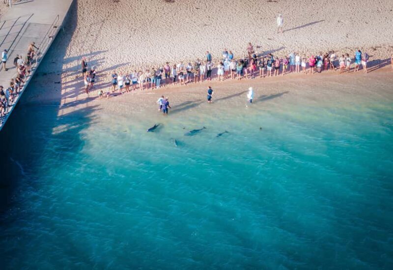 Perth: 8-Day Exmouth Tour with Ningaloo Reef Comfort Tour - Who Is This Tour Best Suited For?