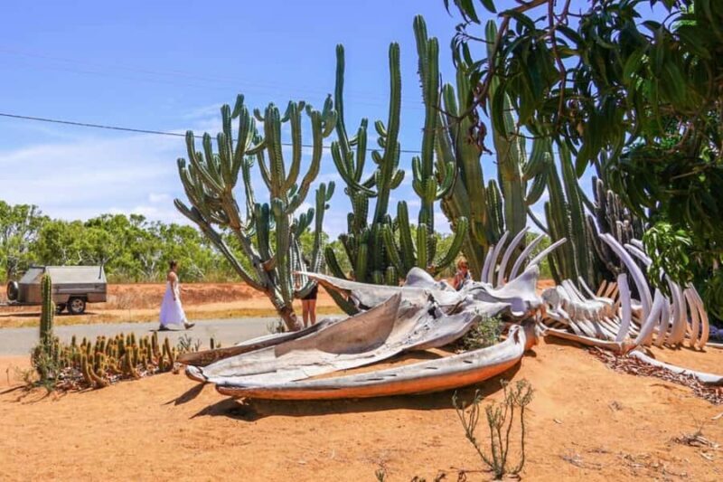 Perth: 8-Day Exmouth Tour with Ningaloo Reef Comfort Tour - FAQ