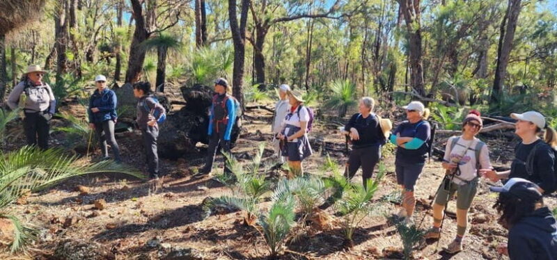 Perth: Abyssinia Rock Hiking Experience - What Makes This Tour Special?