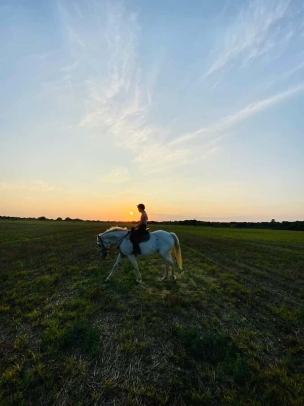 Perth, Australia: 1-Hour Scenic Horseback Trail Adventure - The Views and Photo Opportunities