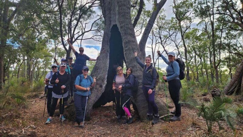 Perth: Bibbulmun Track Hiking Experience with Lunch - What You Can Expect From the Experience