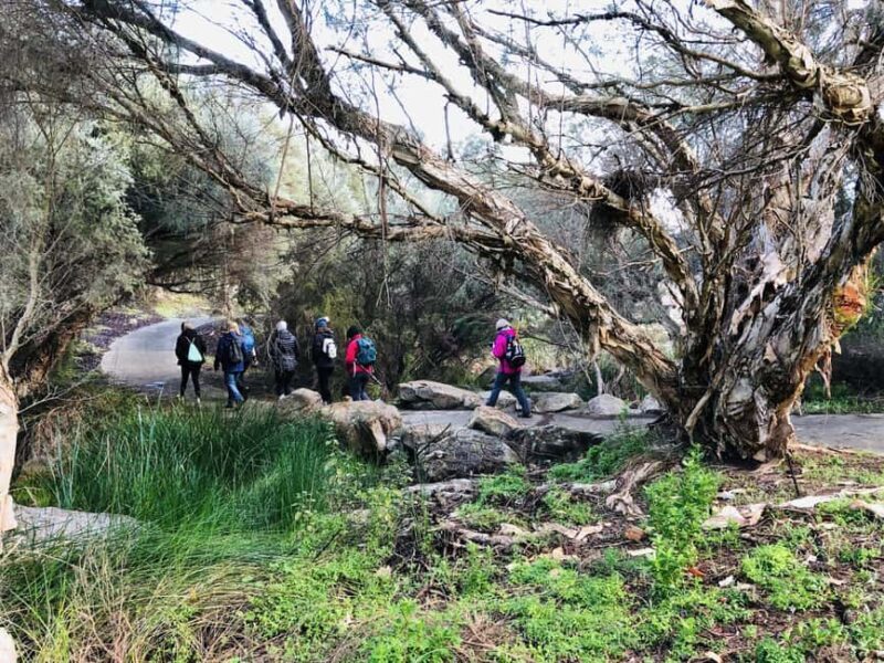 Perth: Bickley Valley Hiking Experience with Morning Tea - An Overview of the Bickley Valley Hiking Experience
