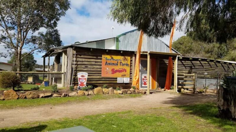 Perth: Busselton Jetty Full - Day Guided Tour - Price and Value