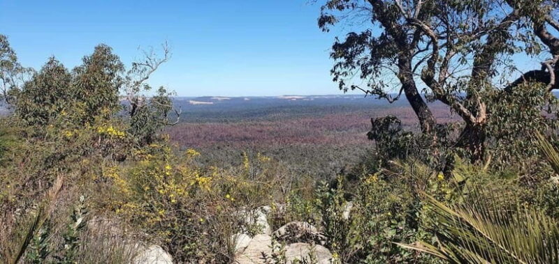 Perth: Darling Range Twin Peaks Hike with Morning Tea - Overview of the Tour Experience