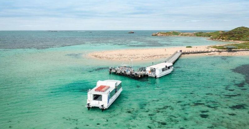 Perth: Dolphin, Sealion & Wildlife Cruise with Lunch - The Experience in Detail