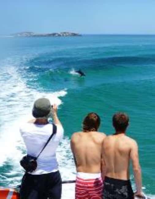 Perth: Dolphin, Sealion & Wildlife Cruise with Lunch - FAQ