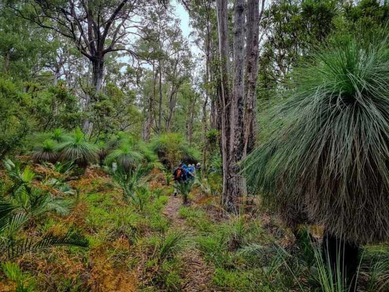 Perth: Dwellingup Train, Trails, and Woodfired Delights Tour - Key Points