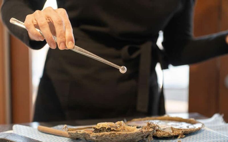 Perth: Harvest Your Own Pearl Experience - An Inside Look at the Harvest Your Own Pearl Experience