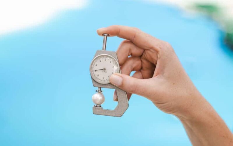 Perth: Harvest Your Own Pearl Experience - The Experience Atmosphere