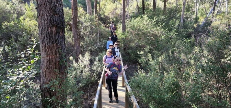 Perth: Hidden Gems of Perth Hiking Tour with Lunch - Exploring the Hidden Gems of Perth: A Full-Day Hiking Adventure