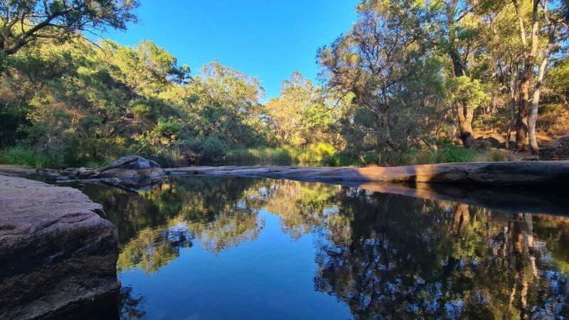 Perth: Hidden Gems of Perth Hiking Tour with Lunch - Practical Details: What You Need to Know