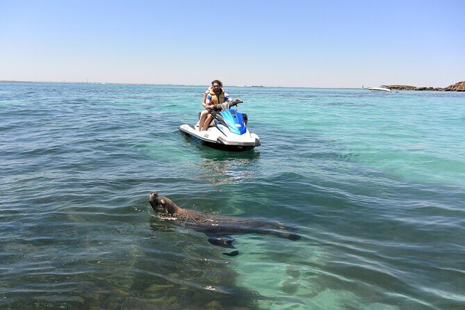 Perth Jet Ski Tour - The Practical Side: What You Need to Know