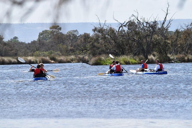 Perth Kayak Tour - Canning River Wetlands - Detailed Itinerary Breakdown