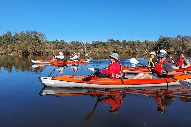 Perth Kayak Tour - Canning River Wetlands - The Value of the Tour