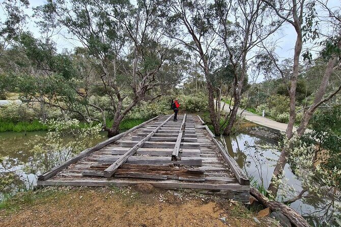 Perth Kayak Tour - Canning River Wetlands - The Experience from the Reviewers’ Perspective