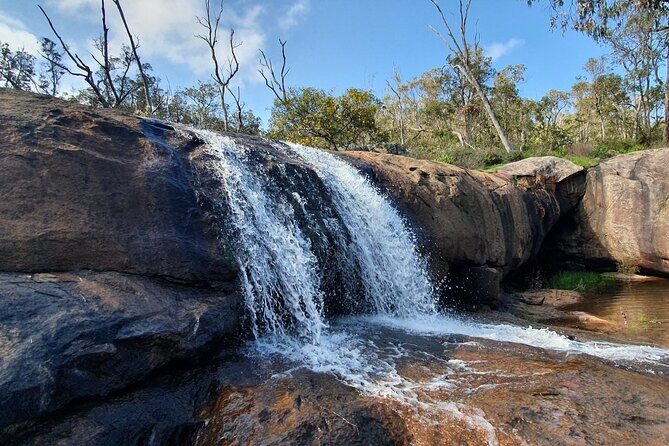 Perth Kayak Tour - Canning River Wetlands - The Sum Up: Is This Tour Worth It?
