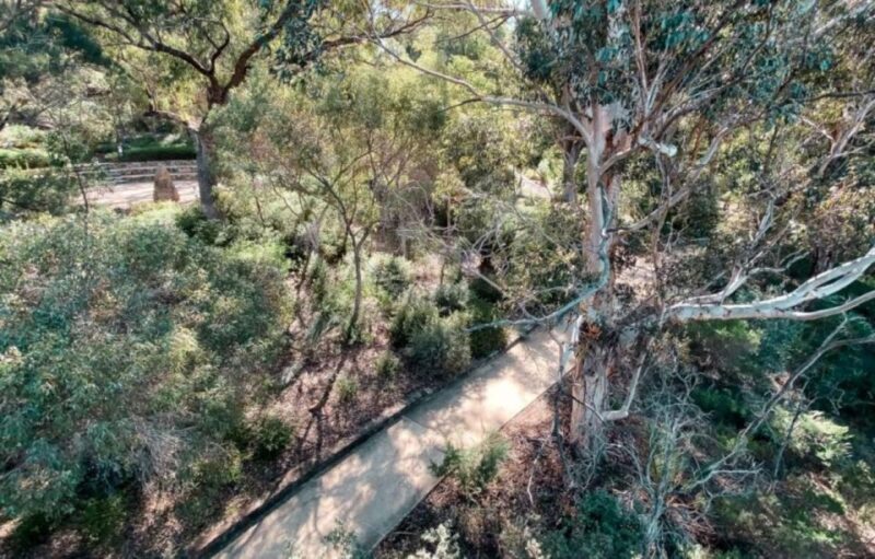 Perth: Kings Park Botanicals & Beyond Guided Hike - The Experience and Guides