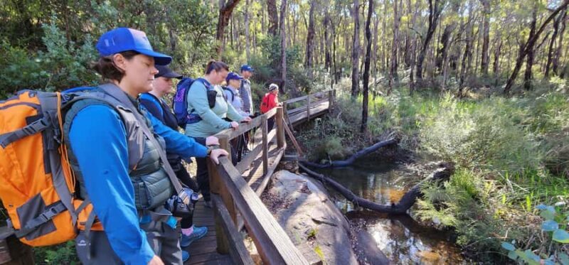 Perth: Kitty's Gorge Hike with Morning Tea - Practical Tips
