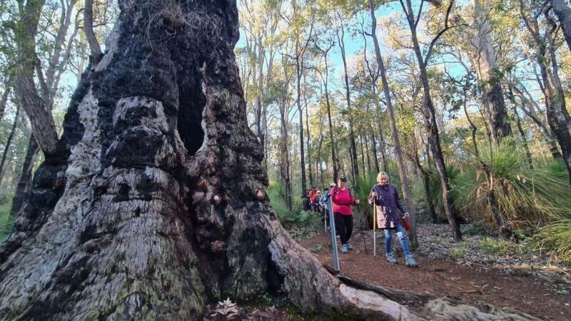 Perth: Kitty's Gorge Waterfall Hike - Perth: Kittys Gorge Waterfall Hike — A Detailed Review