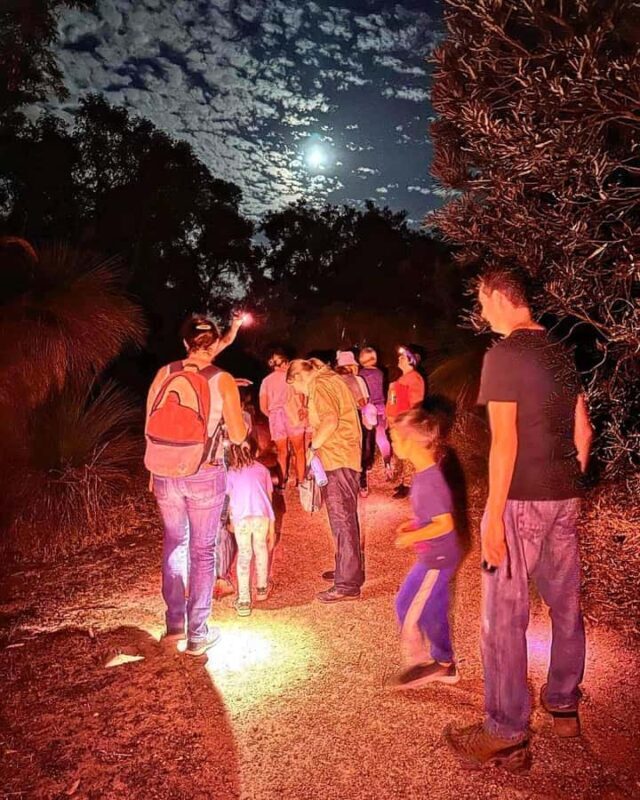 Perth: Nocturnal Night Stalk Tour with WA Wildlife Encounter - Key Points
