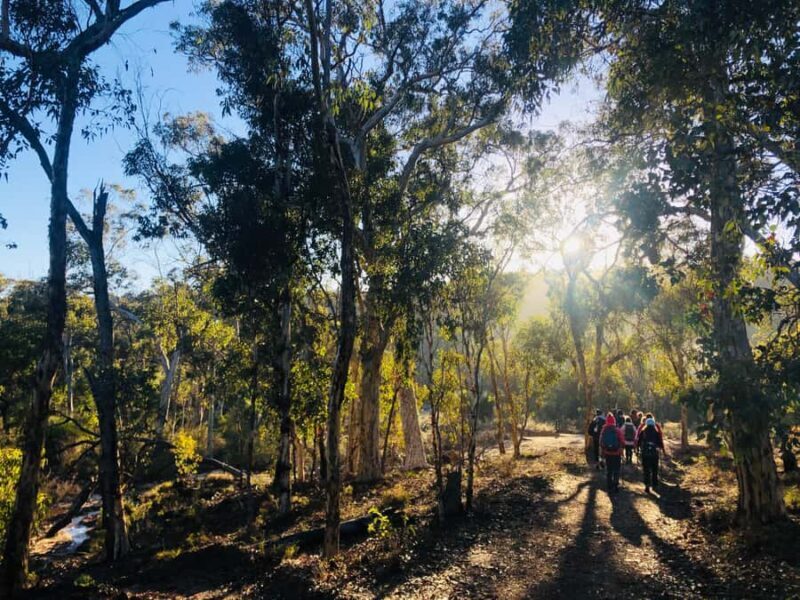 Perth: Numbat Trail Hike at Paruna Wildlife Sanctuary - Is it Suitable for Everyone?