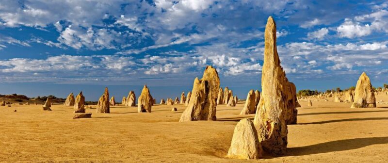 Perth: Pinnacles and Swan Valley Wine Day Tour with Lunch - The Sum Up