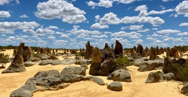 Perth: Pinnacles Desert Bush Walk Guided Tour with Lunch - Key Points