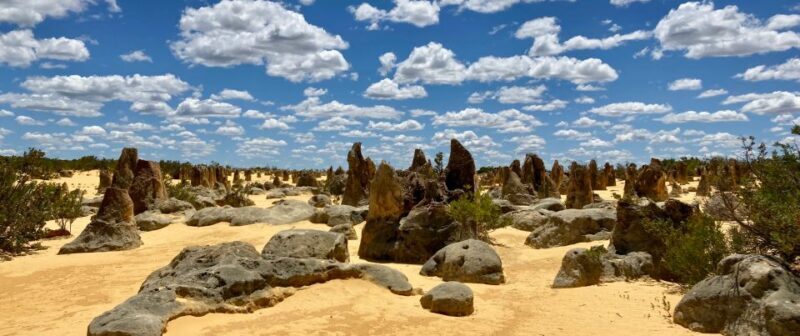 Perth: Pinnacles Desert Bush Walk Guided Tour with Lunch - Exploring the Pinnacles Desert: A Natural Wonder