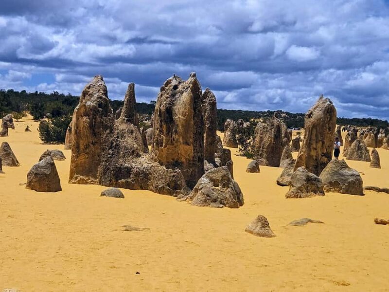 Perth: Pinnacles Desert & Sand Dunes Private Day Tour - Key Points