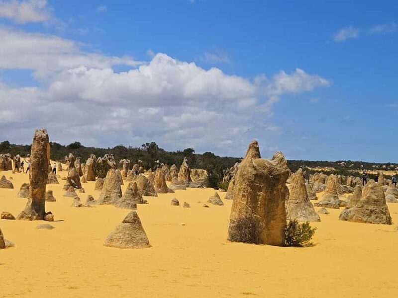 Perth: Pinnacles Desert & Sand Dunes Private Day Tour - The Pinnacles Desert: A Landscape Like No Other