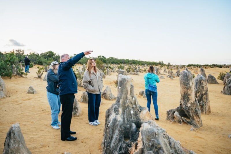 Perth: Pinnacles Desert Sunset and Stargazing with Dinner - Key Points