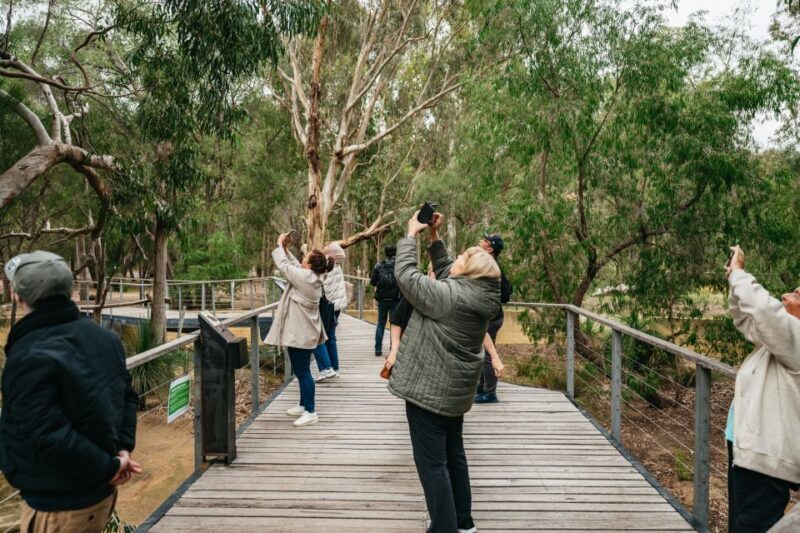 Perth: Pinnacles Desert Sunset and Stargazing with Dinner - The Sum Up: Who Should Consider This Tour?